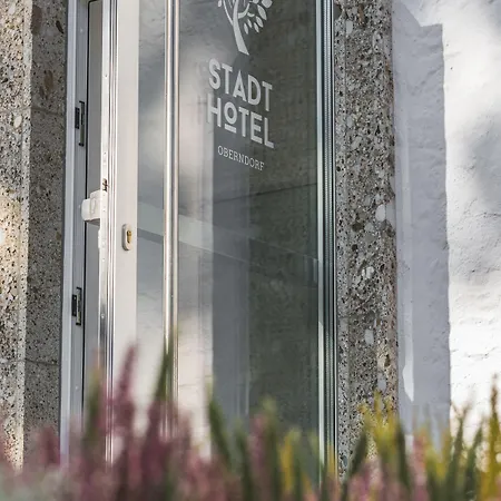 Stadthotel Oberndorf 3*